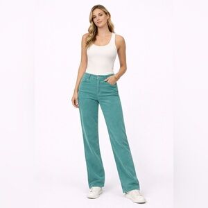 Patagonia Teal Corduroy Pants Mid-Rise Straight Leg – Women’s Size 29